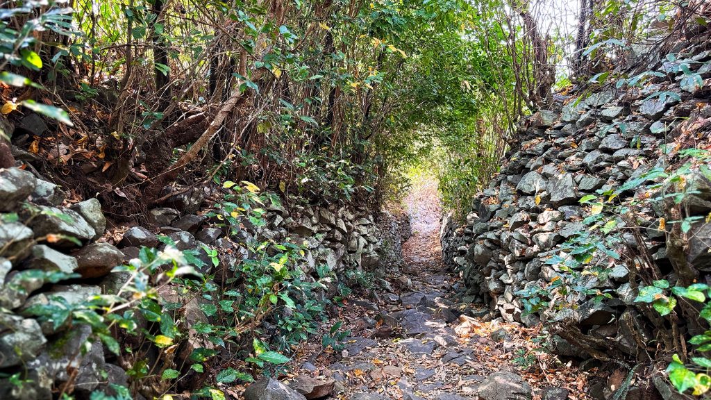 Ruavillage