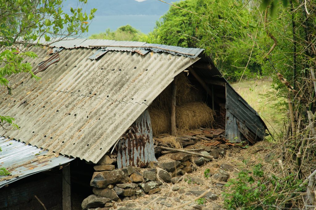 Ruavillage
