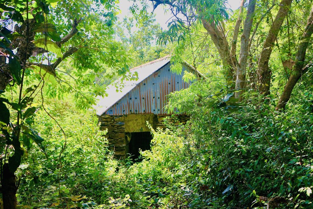 Ruavillage