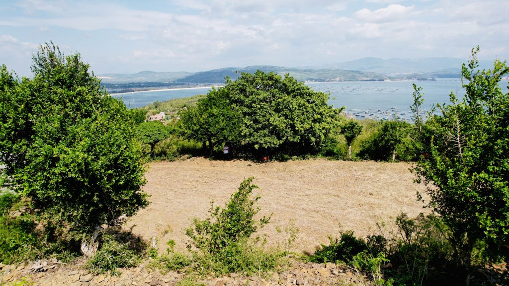 Ruavillage
