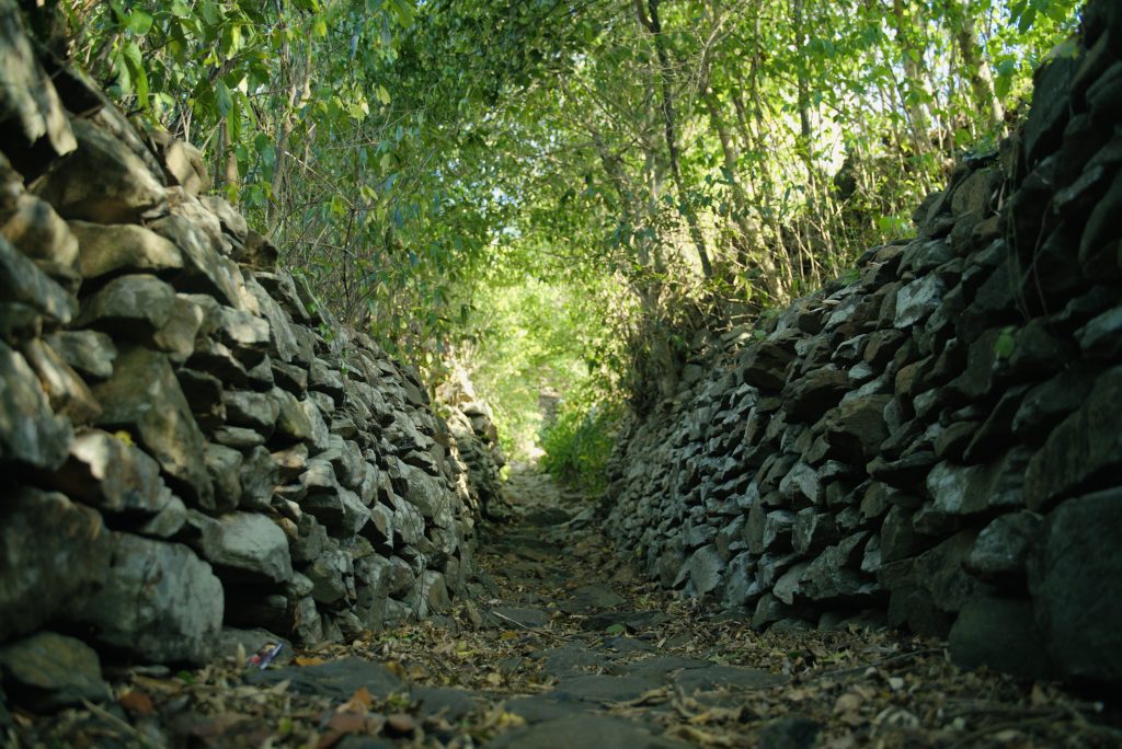 Ruavillage