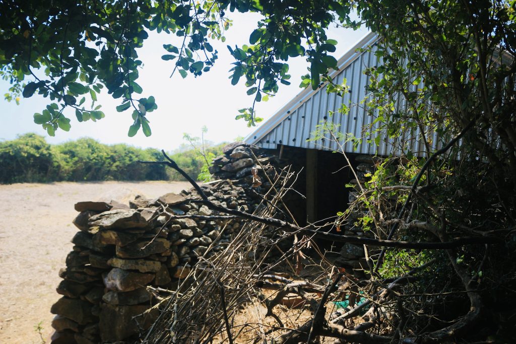 Ruavillage