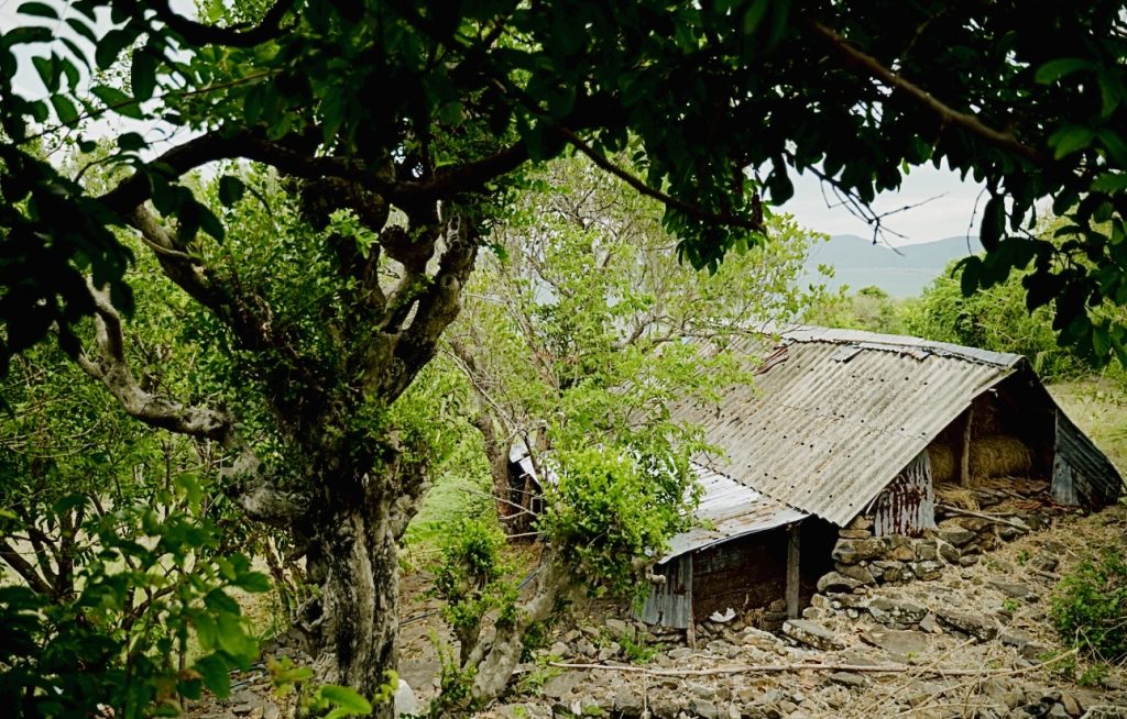 Ruavillage