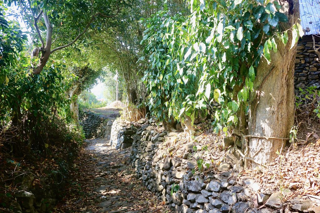 Ruavillage