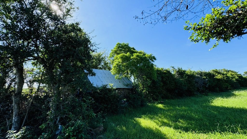 Ruavillage