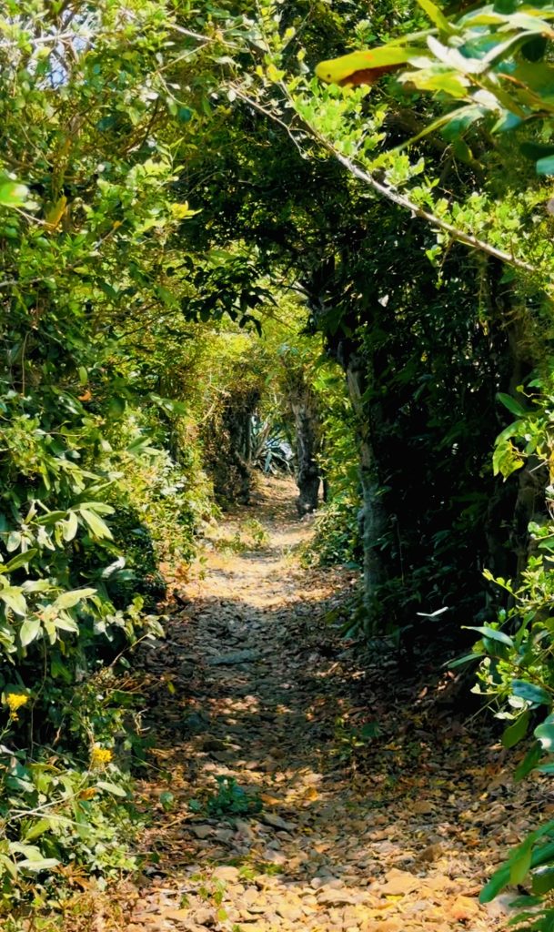 Ruavillage