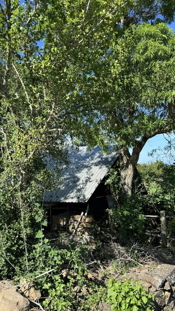 Ruavillage